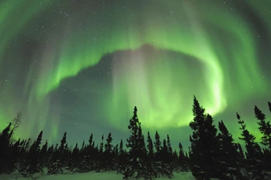 Aurora: Photos And Wallpapers