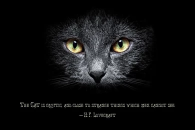 4 Lovecraft HD Wallpapers