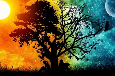 Desktop Images, Widescreen Images, Colors, Lovely Wallpapers, Cool ...