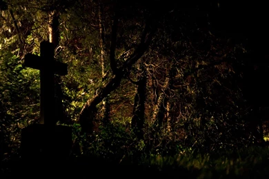 Cemetery Grave Cross Dark Trees Wallpapers