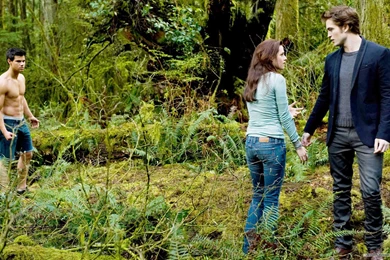 Free Wallpapers   Free Movie Wallpapers   The Twilight Saga: New ...