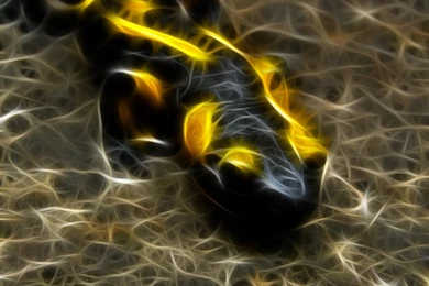 Byrek's DeviantArt Gallery