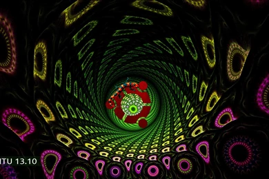 Download The Fractal Ubuntu 13.10 Saucy Salamander Wallpapers ...