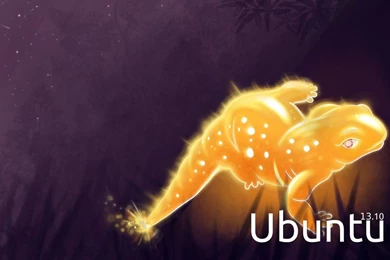 Saucy Salamander By Aandre311 On DeviantArt