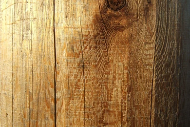 Tree Bark 3 By WolfPrincess Stock On DeviantArt