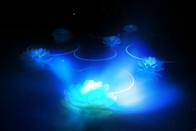 DeviantArt: More Like EgFox ICS Chroma Wallpapers HD By Eg Art