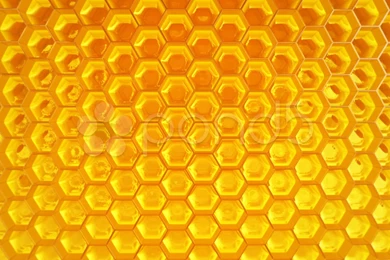 Honeycomb. Honey. Healthy Natural Organic Nutritious Food. Stock ...