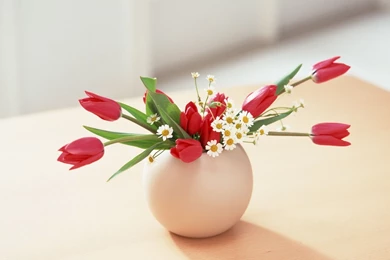 Flower Pot Wallpapers   HD Wallpapers Pretty