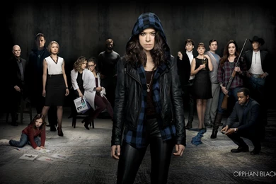 Orphan Black Wallpapers