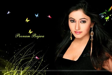 Poonam Bajwa Indian Actress Wallpapers (20)