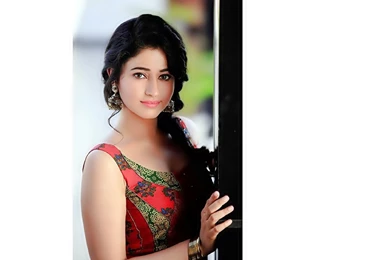 Poonam Bajwa Indian Actress Wallpapers (31)