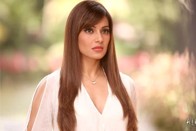Bipasha Bollywood Actress Wallpapers For Desktop And Mobile