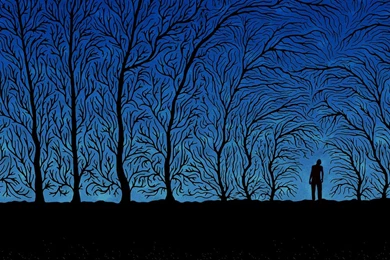 Abstract Black Metal Creepy Dusk Forests Wallpapers   (