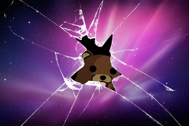 Download Pedobear Broken Wallpapers 1920x1200