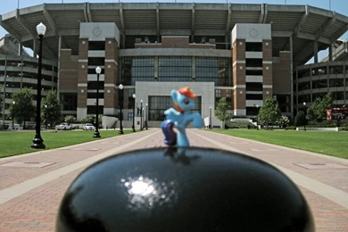 Rainbow Dash @ Bryant Denny Stadium By AlTheJuggernaut On DeviantArt