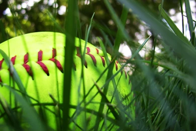 Softball HD Pictures