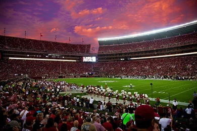 How Many Of You Go To The Games? Picture Help