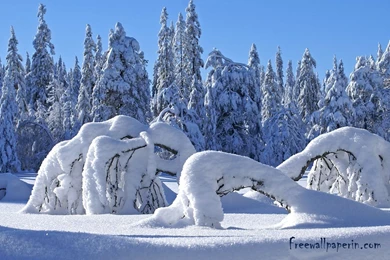 Free Snow Desktop Wallpapers Download   Free Wallpapers In