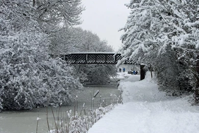 Snow Desktop Wallpapers Download Free