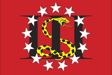 The Snake On The Flag: Three Percent Plus ONE!