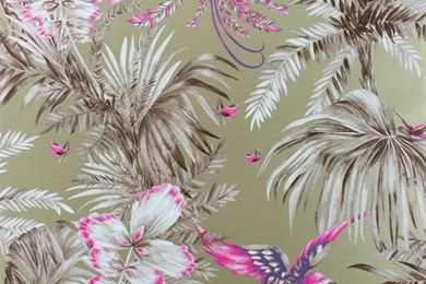 News: Bird Of Paradise Wallpapers & Fabric