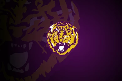 Lsu Wallpapers   Wallpapers Cave