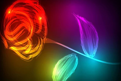 Red Heart Diamond Love Free Hd Wallpapers