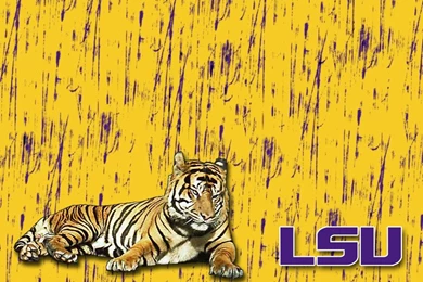 DeviantArt: More Like LSU Wallpapers 5 By ArtbyJeremy