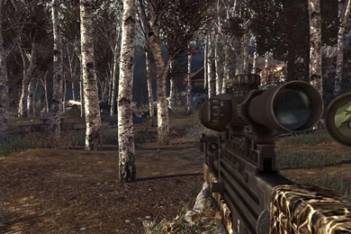 Hunter Camo ( Realtree ) (Call Of Duty: Modern Warfare 2 > Skins ...