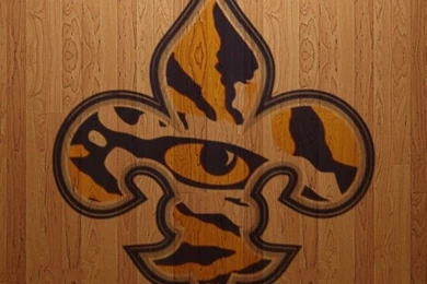 Gallery For   Lsu Wallpapers For Ipad