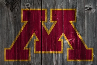 Minnesota Gopher Volleyball A Gallery On Flickr