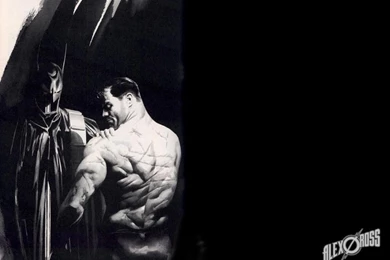 Alex Ross On Pinterest 23 Pins