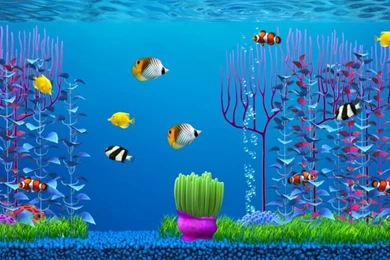 Aquarium Screensaver Lite On The Mac App Store