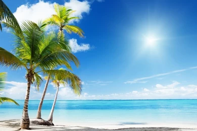 Tropical Beach Paradise HD Desktop Wallpapers : Widescreen : High ...