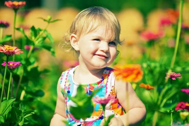 Cute Baby Girl In Zinnia Flowers Hd Wallpapers