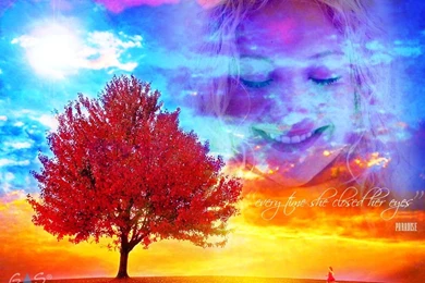 Paradise Wallpapers   Coldplay Wallpapers (28374333)   Fanpop