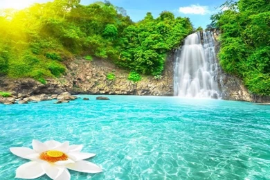 Nature Paradise Wallpapers HD Desktop