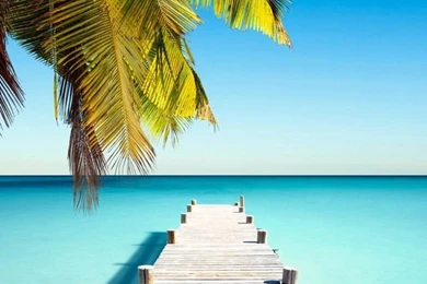 Paradise Dock Wallpaper.