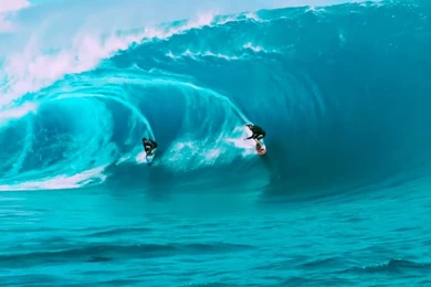 New Point Break Movie Remake Feature Still Does Not Impress ...