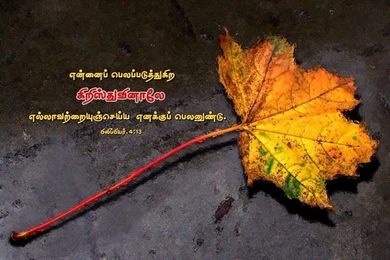 Download HD New Year 2016 Bible Verse Greetings Card & Wallpapers ...