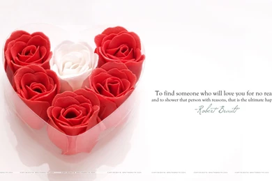 Love Quotes HD Wallpapers
