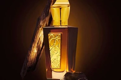 Rare Perfume   Alexandria Xerjoff ~ Fragrance Reviews