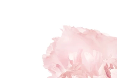 Issey Miyake   A Scent By Issey Miyake