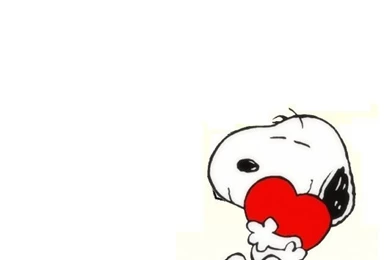 iPhone 5 Wallpapers HD   Retina Ready, Stunning Wallpapers