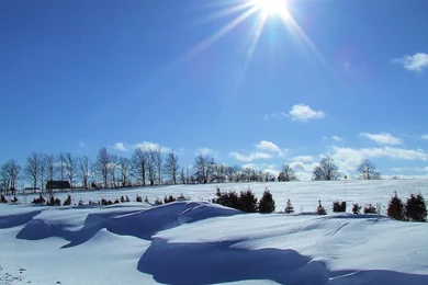 Pretty Winter Backgrounds   Wallpapers Cave