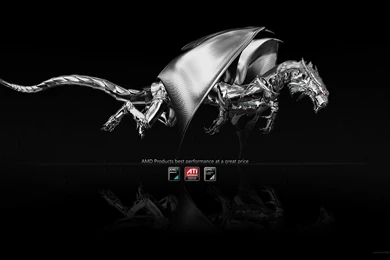 Amd Dragon Wallpapers 87868