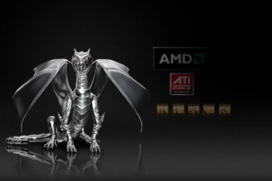 Amd Fusion Wallpapers 13102