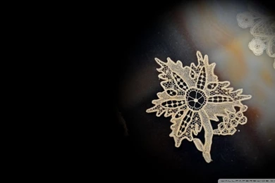 Lace HD Desktop Wallpapers : Widescreen : High Definition ...