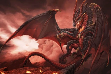 AMD Dragon   Page 22