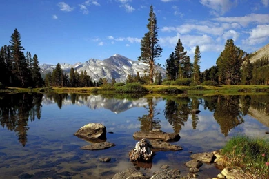 1280×768 HD Wallpapers